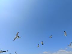 -星海广场