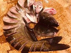 鮰鱼-云中鱼蒸汽石锅鱼(川沙百联店)