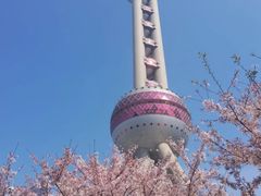 -东方明珠广播电视塔