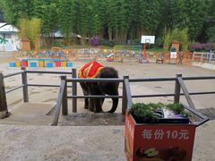 -云南民族村