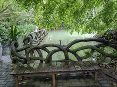 -呀诺达热带雨林