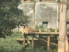 -泉州海丝野生动物世界