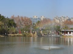 -江心屿景区