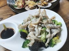 -鲁前海沿儿