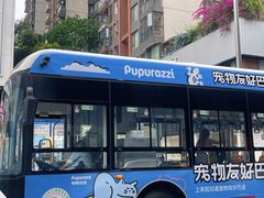 -帕帕拉兹宠物(亚洲旗舰店)