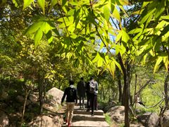-崂山巨峰游览区