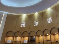 -深圳美莱医疗美容医院