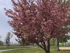 -汉长安城未央宫国家考古遗址公园