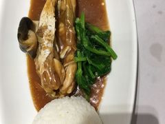 河豚鱼饭-新吉士·上海菜(浦东LCM置汇旭辉店)