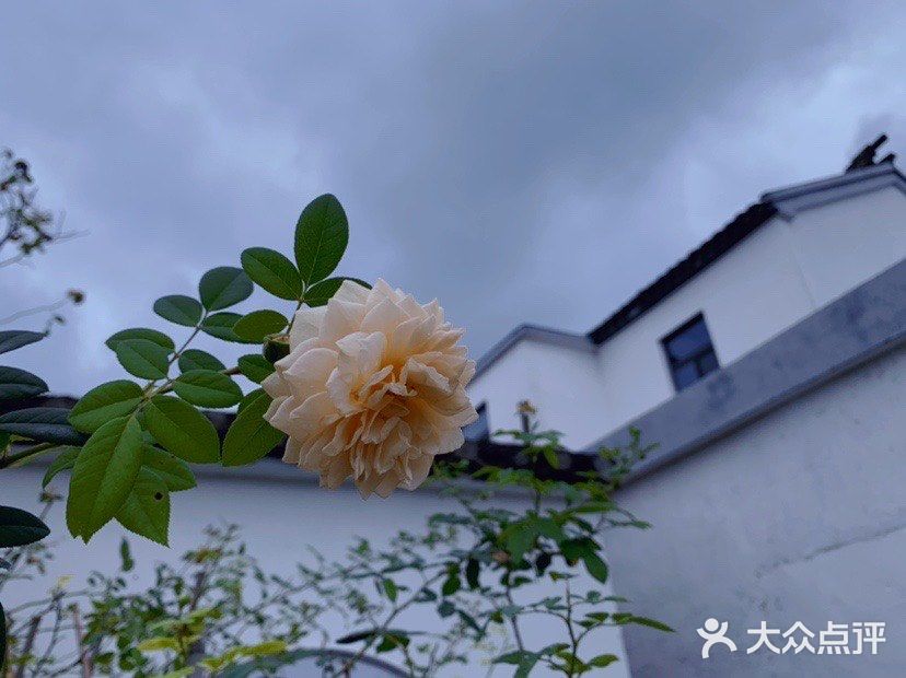 冬日咖啡图片