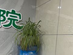 -半岛宠物医院24小时(白果林店)
