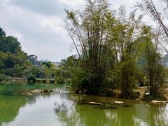 -靖西鹅泉风景区