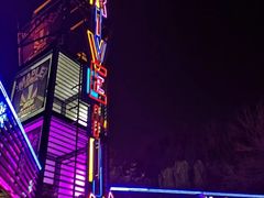 -枫花园汽车电影院(朝阳公园店)