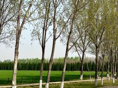 -汉长安城未央宫国家考古遗址公园