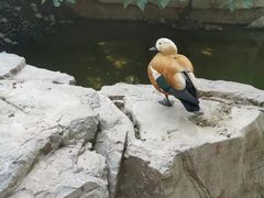 -烟台山景区