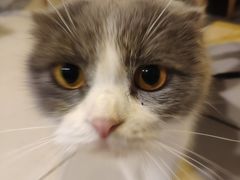 -平行世界·猫咖(首经贸店)
