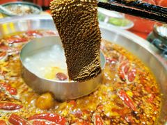 -谭鸭血老火锅(七宝万科广场店)