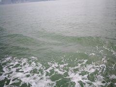 -国际邮轮中心码头(厦鼓码头)
