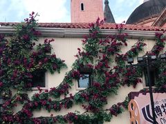 -华谊兄弟（长沙）电影小镇