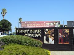 -济州岛泰迪熊博物馆