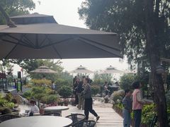 -蘇河湾·新鲁菜·泰山宴(泰山店)