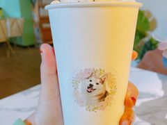 -Husky Go! 哈士奇体验馆·宠物咖啡厅狗咖