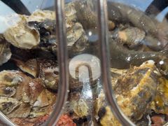 -大锅强·蒸海鲜青岛菜(吾悦广场店)