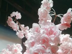 -学习谷日语培训日本留学·多语种外语教学(海淀人大分部)