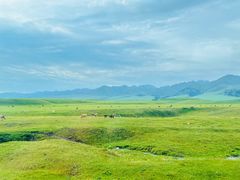 -新疆那拉提国家旅游度假区