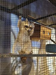 -酷嗒动物文化乐园(cutezoo西溪乐天城店)