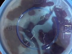 -新澳港式茶餐厅(余姚路店)