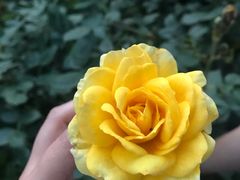 -龙潭水乡