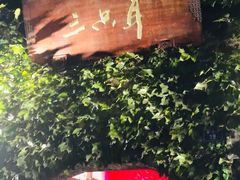 -三只耳火锅(宽窄巷子店)