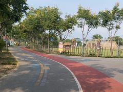 -上海长兴岛郊野公园