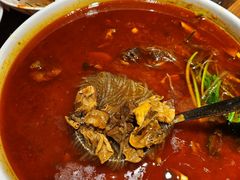 牛腩粉丝-金锅小厨(乐活街店)