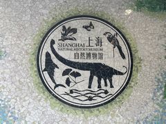 -上海自然博物馆