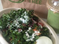 -油梨树AVOCADO TREE(嘉里中心店)