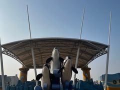 -北戴河圣蓝海洋公园