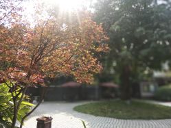 -莲生母婴月子中心(清水河公园店)