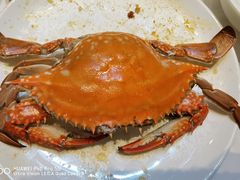 -上和臻品中国菜(花园街店)