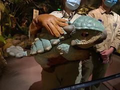 -东浩兰生上海世博展览馆