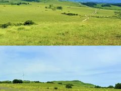-御道口草原森林风景区