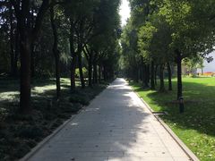 -宋庆龄陵园