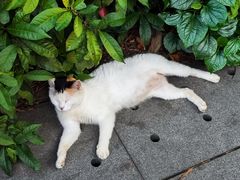 -玲又珑美食(盘福路店)