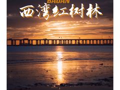 -宝安西湾红树林湿地公园