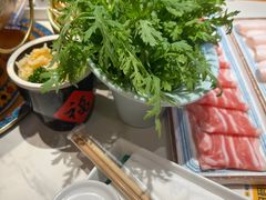 -曲氏老北京铜锅涮肉•火锅(不老街店)