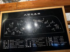 -温州博物馆