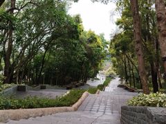 -深圳国际园林花卉博览园