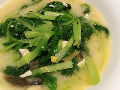 上汤鸡毛菜-荣小馆(临海世纪花城店)