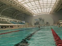 -广西体育中心-游泳馆